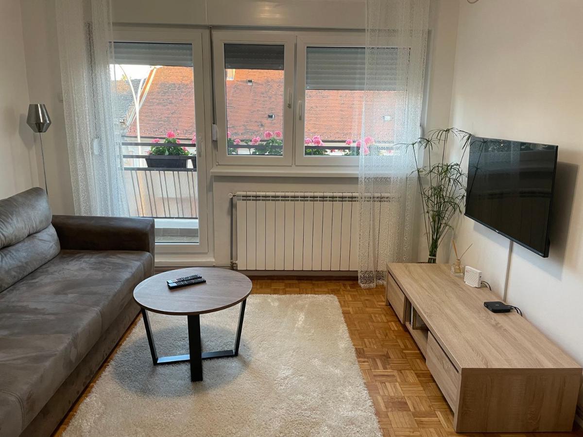 Sunny Apartment Vrsac Esterno foto