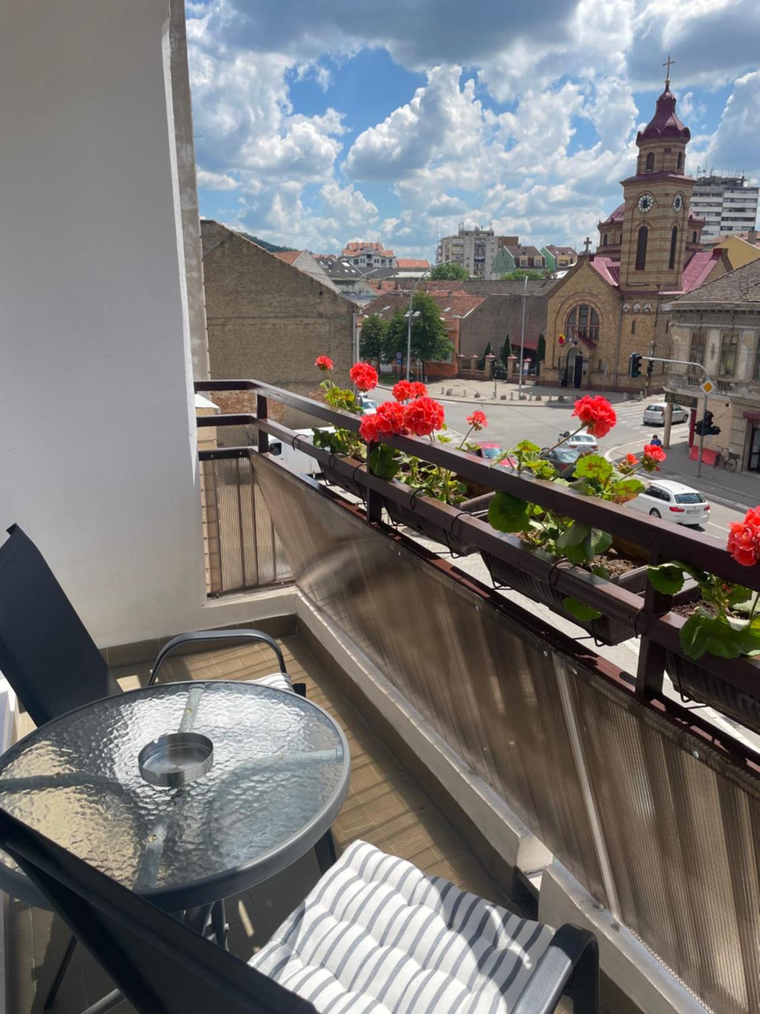 Sunny Apartment Vrsac Esterno foto